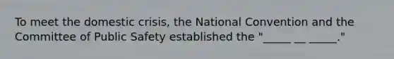 To meet the domestic crisis, the National Convention and the Committee of Public Safety established the "_____ __ _____."