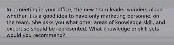 In a meeting in your office, the new team leader wonders aloud whether it is a good idea to have only marketing personnel on the team. She asks you what other areas of knowledge skill, and expertise should be represented. What knowledge or skill sets would you recommend?