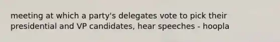 meeting at which a party's delegates vote to pick their presidential and VP candidates, hear speeches - hoopla