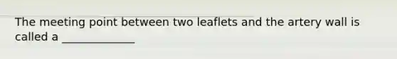 The meeting point between two leaflets and the artery wall is called a _____________