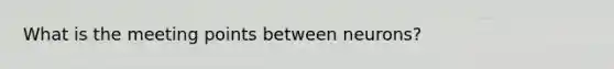 What is the meeting points between neurons?