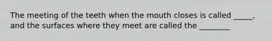 The meeting of the teeth when the mouth closes is called _____, and the surfaces where they meet are called the ________