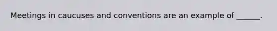 Meetings in caucuses and conventions are an example of ______.