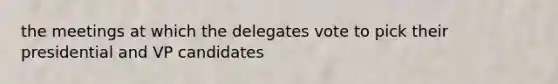 the meetings at which the delegates vote to pick their presidential and VP candidates