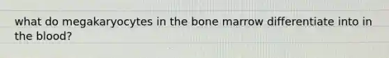 what do megakaryocytes in the bone marrow differentiate into in the blood?