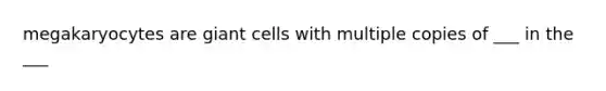 megakaryocytes are giant cells with multiple copies of ___ in the ___