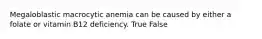 Megaloblastic macrocytic anemia can be caused by either a folate or vitamin B12 deficiency. True False