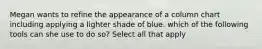 Megan wants to refine the appearance of a column chart including applying a lighter shade of blue. which of the following tools can she use to do so? Select all that apply