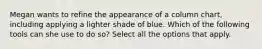 Megan wants to refine the appearance of a column chart, including applying a lighter shade of blue. Which of the following tools can she use to do so? Select all the options that apply.