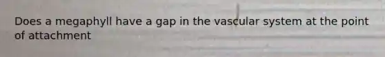 Does a megaphyll have a gap in the vascular system at the point of attachment