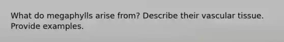 What do megaphylls arise from? Describe their vascular tissue. Provide examples.