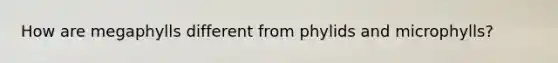 How are megaphylls different from phylids and microphylls?