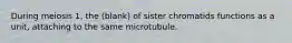 During meiosis 1, the (blank) of sister chromatids functions as a unit, attaching to the same microtubule.