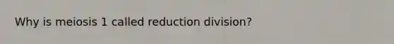 Why is meiosis 1 called reduction division?