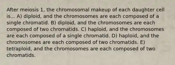 After meiosis 1, the chromosomal makeup of each daughter cell is... A) diploid, and the chromosomes are each composed of a single chromatid. B) diploid, and the chromosomes are each composed of two chromatids. C) haploid, and the chromosomes are each composed of a single chromatid. D) haploid, and the chromosomes are each composed of two chromatids. E) tetraploid, and the chromosomes are each composed of two chromatids.