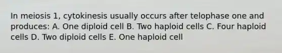 In meiosis 1, cytokinesis usually occurs after telophase one and produces: A. One diploid cell B. Two haploid cells C. Four haploid cells D. Two diploid cells E. One haploid cell