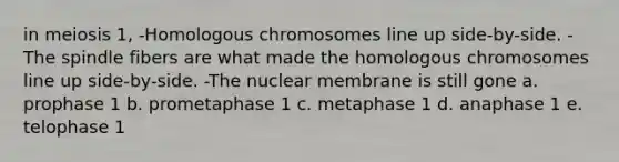 in meiosis 1, -Homologous chromosomes line up side-by-side. -The spindle fibers are what made the homologous chromosomes line up side-by-side. -The nuclear membrane is still gone a. prophase 1 b. prometaphase 1 c. metaphase 1 d. anaphase 1 e. telophase 1