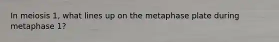 In meiosis 1, what lines up on the metaphase plate during metaphase 1?