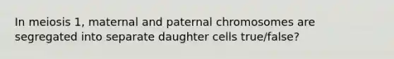 In meiosis 1, maternal and paternal chromosomes are segregated into separate daughter cells true/false?