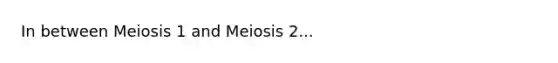 In between Meiosis 1 and Meiosis 2...