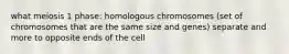 what meiosis 1 phase: homologous chromosomes (set of chromosomes that are the same size and genes) separate and more to opposite ends of the cell