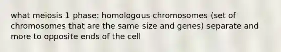 what meiosis 1 phase: homologous chromosomes (set of chromosomes that are the same size and genes) separate and more to opposite ends of the cell