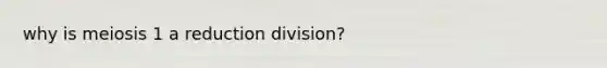 why is meiosis 1 a reduction division?