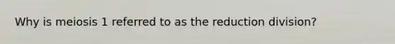 Why is meiosis 1 referred to as the reduction division?