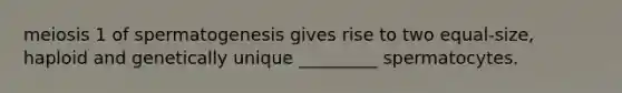 meiosis 1 of spermatogenesis gives rise to two equal-size, haploid and genetically unique _________ spermatocytes.