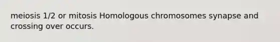 meiosis 1/2 or mitosis Homologous chromosomes synapse and crossing over occurs.