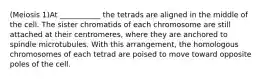 (Meiosis 1)At ___________ the tetrads are aligned in the middle of the cell. The sister chromatids of each chromosome are still attached at their centromeres, where they are anchored to spindle microtubules. With this arrangement, the homologous chromosomes of each tetrad are poised to move toward opposite poles of the cell.