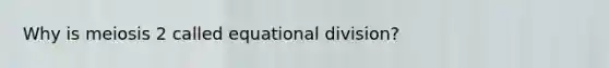 Why is meiosis 2 called equational division?