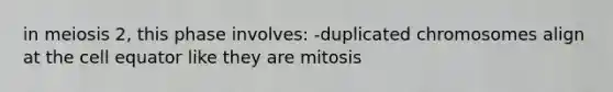 in meiosis 2, this phase involves: -duplicated chromosomes align at the cell equator like they are mitosis