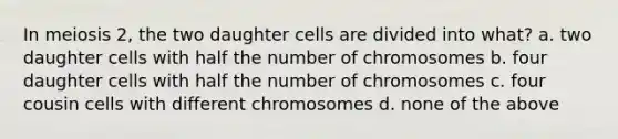 In meiosis 2, the two daughter cells are divided into what? a. two daughter cells with half the number of chromosomes b. four daughter cells with half the number of chromosomes c. four cousin cells with different chromosomes d. none of the above