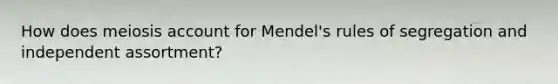 How does meiosis account for Mendel's rules of segregation and independent assortment?