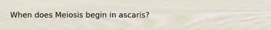 When does Meiosis begin in ascaris?