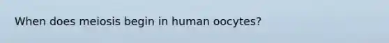 When does meiosis begin in human oocytes?