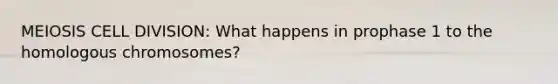 MEIOSIS CELL DIVISION: What happens in prophase 1 to the homologous chromosomes?