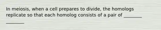 In meiosis, when a cell prepares to divide, the homologs replicate so that each homolog consists of a pair of ________ ________