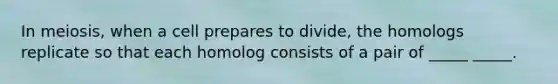 In meiosis, when a cell prepares to divide, the homologs replicate so that each homolog consists of a pair of _____ _____.