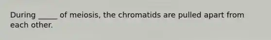 During _____ of meiosis, the chromatids are pulled apart from each other.