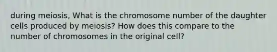 during meiosis, What is the chromosome number of the daughter cells produced by meiosis? How does this compare to the number of chromosomes in the original cell?