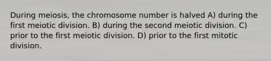 During meiosis, the chromosome number is halved A) during the first meiotic division. B) during the second meiotic division. C) prior to the first meiotic division. D) prior to the first mitotic division.