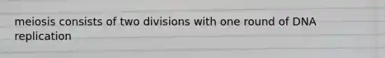 meiosis consists of two divisions with one round of DNA replication