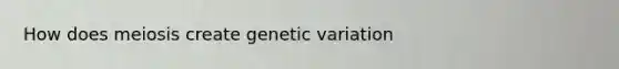 How does meiosis create genetic variation