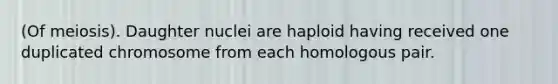 (Of meiosis). Daughter nuclei are haploid having received one duplicated chromosome from each homologous pair.