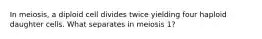 In meiosis, a diploid cell divides twice yielding four haploid daughter cells. What separates in meiosis 1?