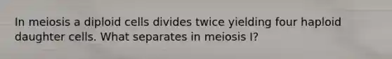 In meiosis a diploid cells divides twice yielding four haploid daughter cells. What separates in meiosis I?