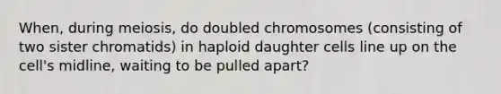 When, during meiosis, do doubled chromosomes (consisting of two sister chromatids) in haploid daughter cells line up on the cell's midline, waiting to be pulled apart?