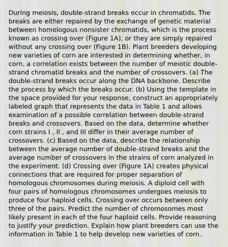 During meiosis, double-strand breaks occur in chromatids. The breaks are either repaired by the exchange of genetic material between homologous nonsister chromatids, which is the process known as crossing over (Figure 1A), or they are simply repaired without any crossing over (Figure 1B). Plant breeders developing new varieties of corn are interested in determining whether, in corn, a correlation exists between the number of meiotic double-strand chromatid breaks and the number of crossovers. (a) The double-strand breaks occur along the DNA backbone. Describe the process by which the breaks occur. (b) Using the template in the space provided for your response, construct an appropriately labeled graph that represents the data in Table 1 and allows examination of a possible correlation between double-strand breaks and crossovers. Based on the data, determine whether corn strains I , II , and III differ in their average number of crossovers. (c) Based on the data, describe the relationship between the average number of double-strand breaks and the average number of crossovers in the strains of corn analyzed in the experiment. (d) Crossing over (Figure 1A) creates physical connections that are required for proper separation of homologous chromosomes during meiosis. A diploid cell with four pairs of homologous chromosomes undergoes meiosis to produce four haploid cells. Crossing over occurs between only three of the pairs. Predict the number of chromosomes most likely present in each of the four haploid cells. Provide reasoning to justify your prediction. Explain how plant breeders can use the information in Table 1 to help develop new varieties of corn.